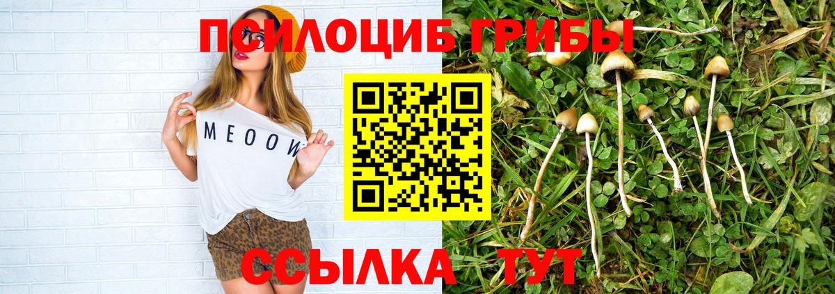 Белореченск  Галлюциногенные грибы Psilocybe  Вход с VPN 